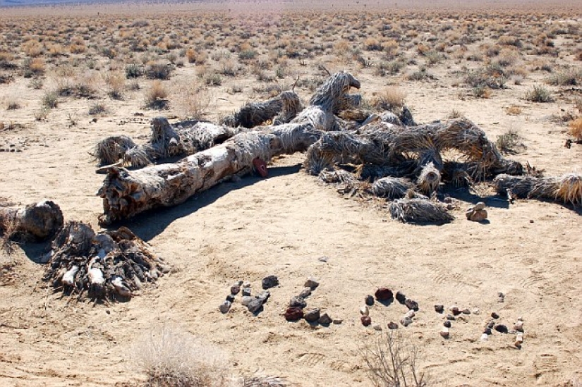 El más famoso de los árboles en el mundo, famoso en el cine, la música y la pintura