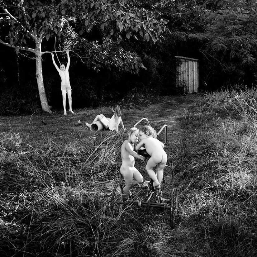 El más hermoso álbum familiar