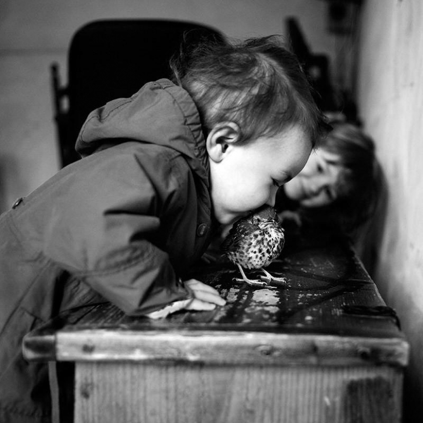 El más hermoso álbum familiar