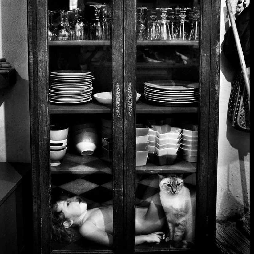 El más hermoso álbum familiar