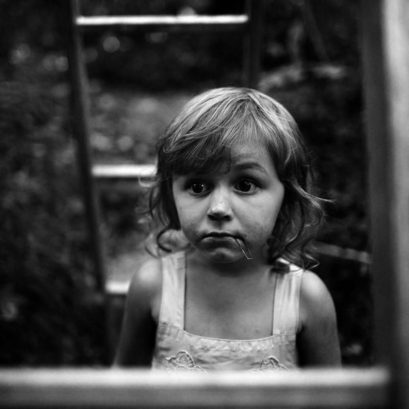 El más hermoso álbum familiar