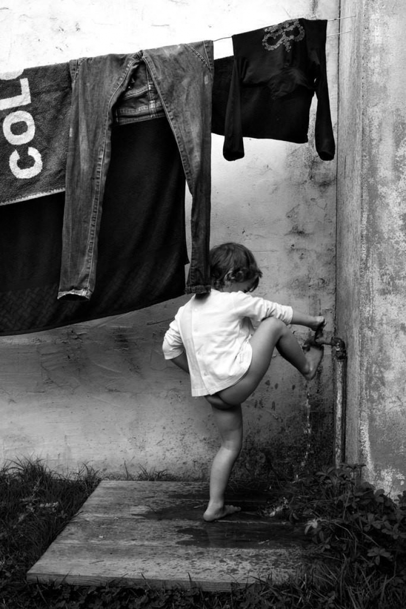 El más hermoso álbum familiar