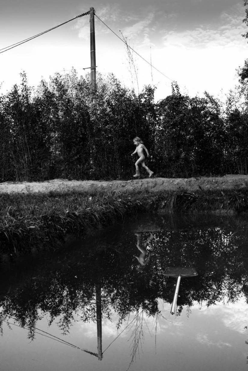 El más hermoso álbum familiar