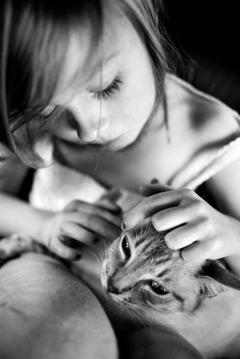 El más hermoso álbum familiar