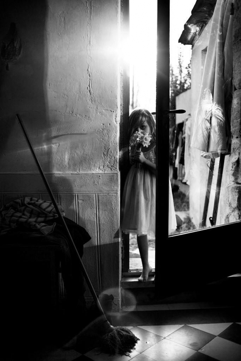 El más hermoso álbum familiar