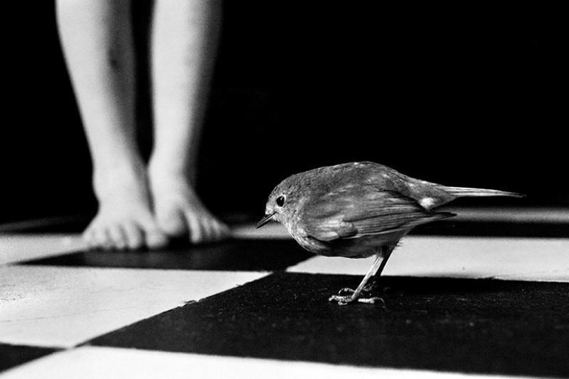 El más hermoso álbum familiar