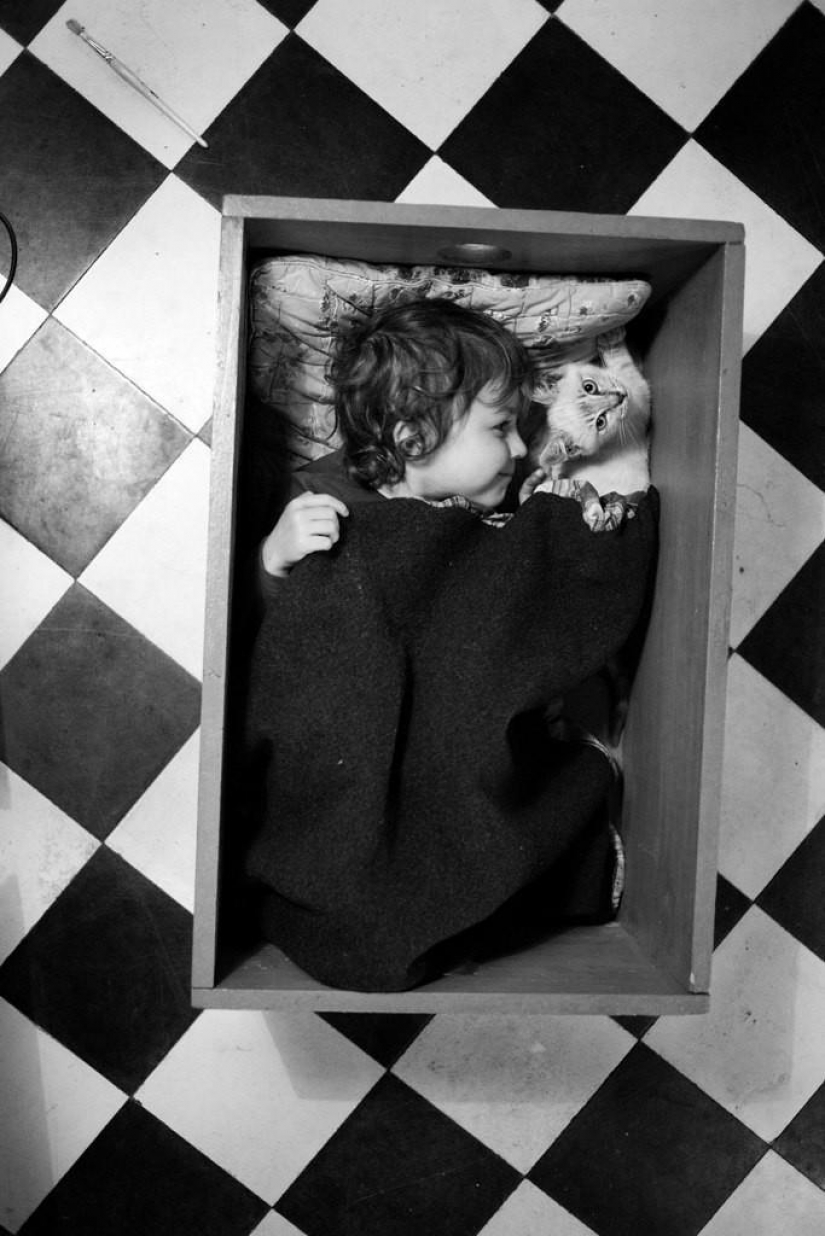 El más hermoso álbum familiar