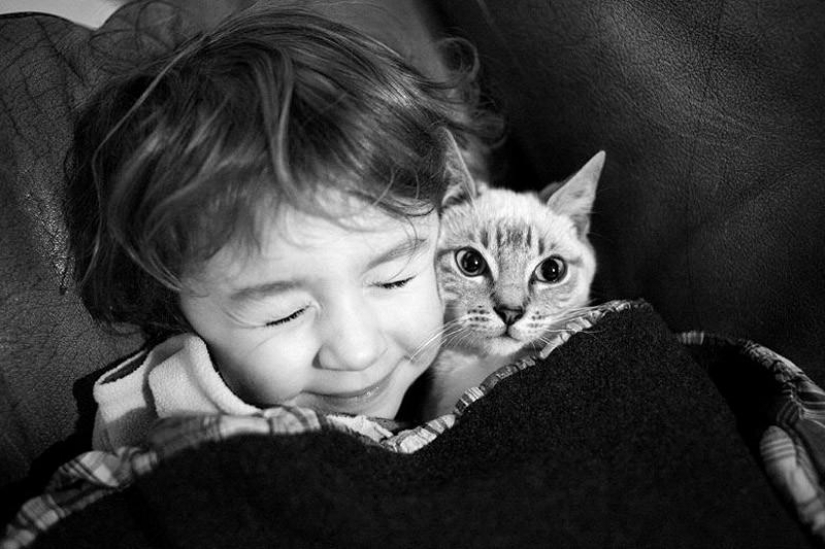 El más hermoso álbum familiar