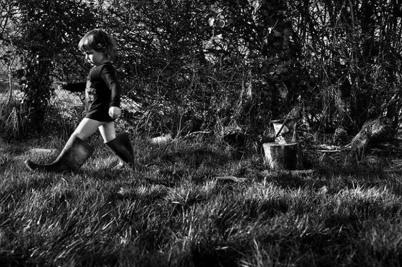 El más hermoso álbum familiar