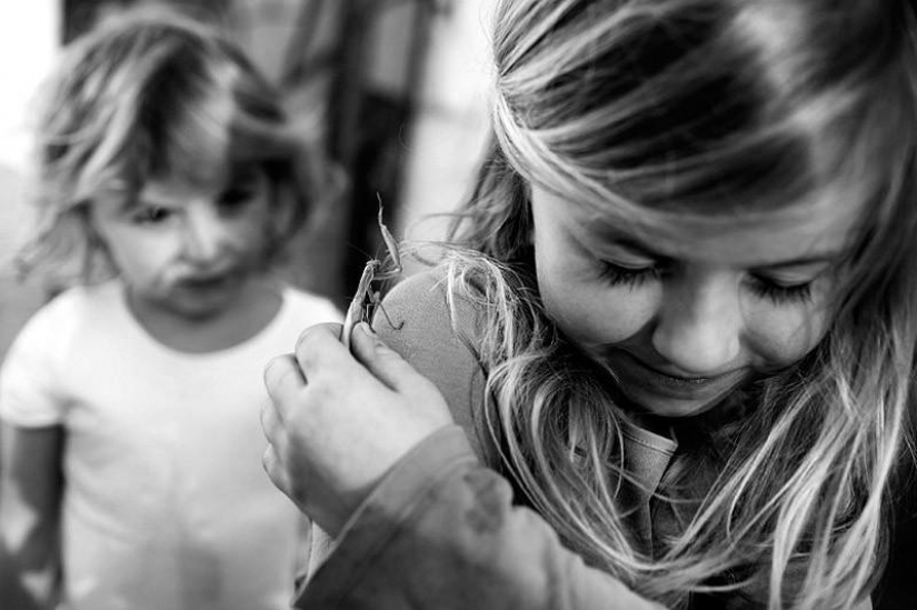 El más hermoso álbum familiar