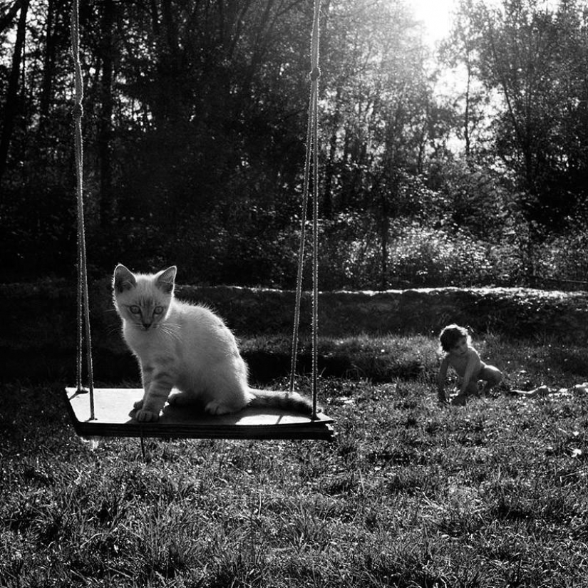 El más hermoso álbum familiar