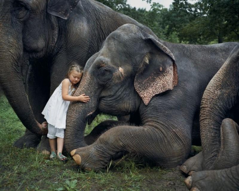 El mundo Amelia — una niña y sus animales El mundo Amelia — una niña y sus animales