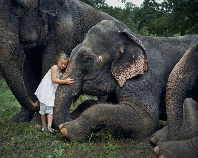 El mundo Amelia — una niña y sus animales El mundo Amelia — una niña y sus animales