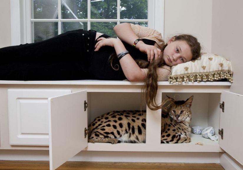 El mundo Amelia — una niña y sus animales El mundo Amelia — una niña y sus animales