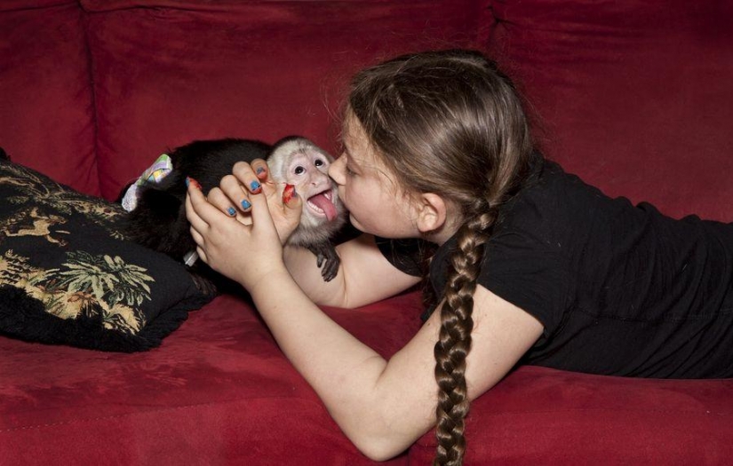 El mundo Amelia — una niña y sus animales El mundo Amelia — una niña y sus animales