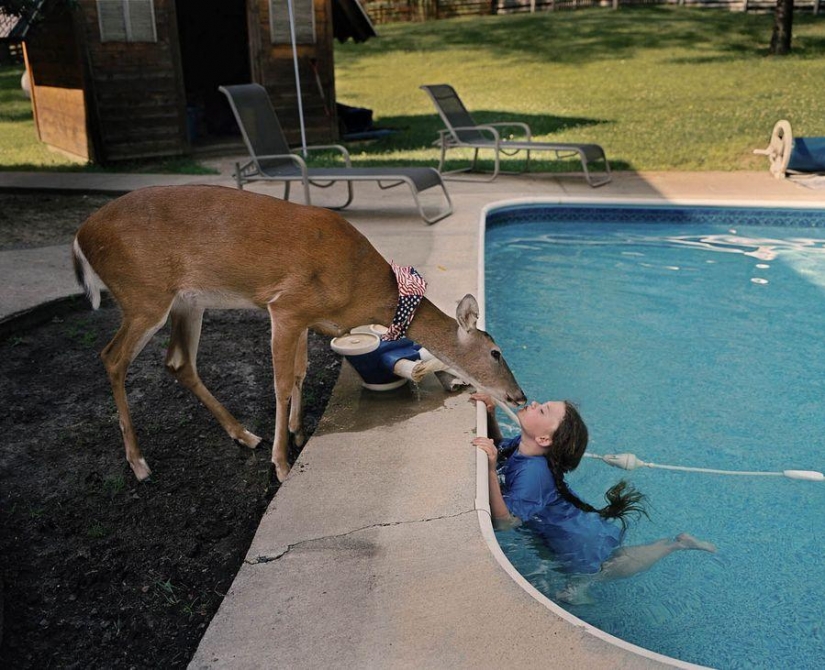 El mundo Amelia — una niña y sus animales El mundo Amelia — una niña y sus animales