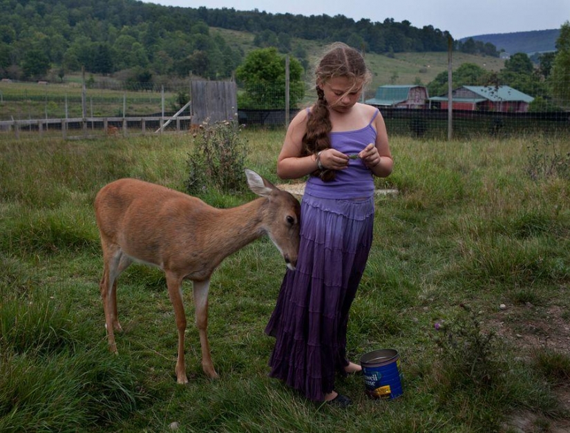 El mundo Amelia — una niña y sus animales El mundo Amelia — una niña y sus animales