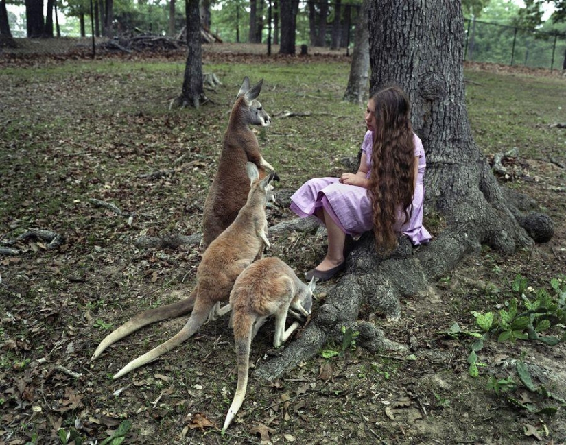 El mundo Amelia — una niña y sus animales El mundo Amelia — una niña y sus animales