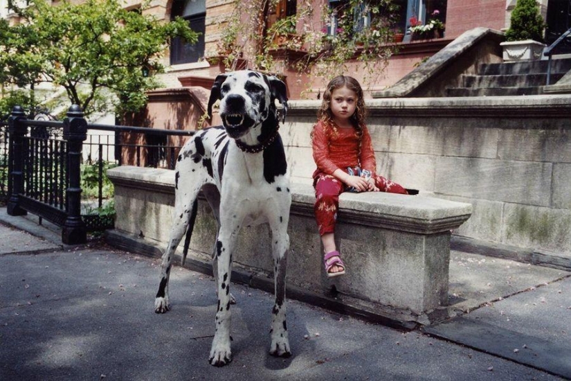 El mundo Amelia — una niña y sus animales El mundo Amelia — una niña y sus animales