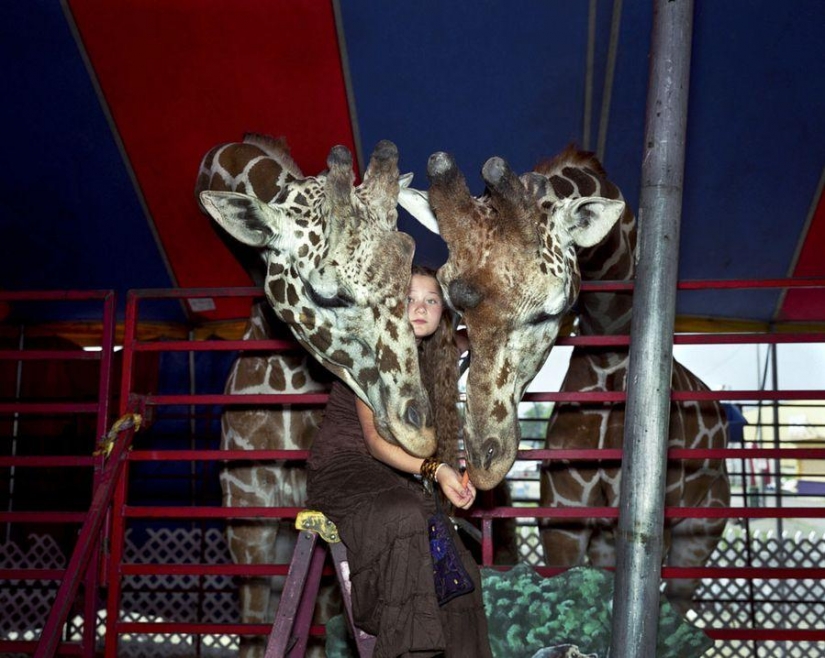El mundo Amelia — una niña y sus animales El mundo Amelia — una niña y sus animales