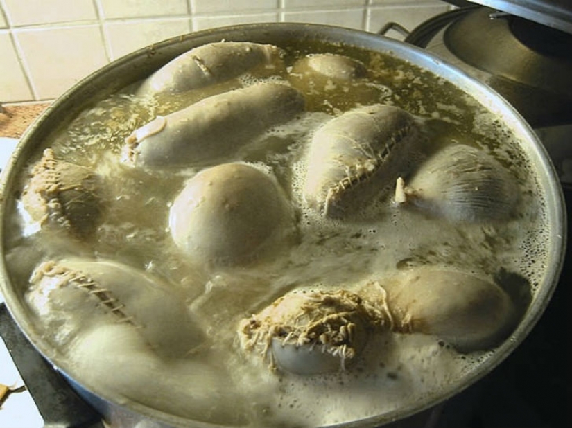 El nacional de islandia cocina no es para los débiles