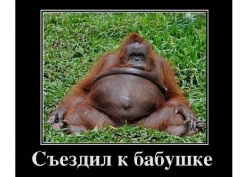 El palo y la zanahoria: cómo restaurantes hacernos gastar más