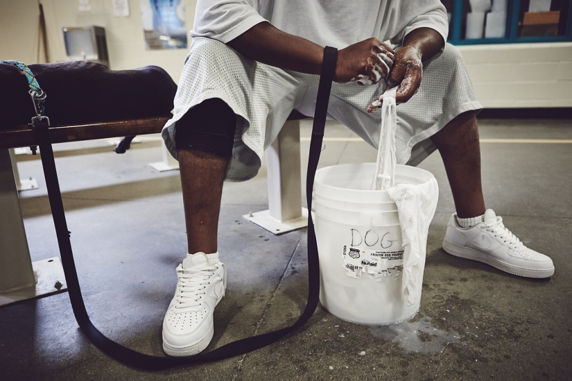 "El perro te ama, incluso en la cárcel": cómo ayudar a cada uno de los otros reclusos y de los perros sin hogar "El perro te ama, incluso en la cárcel": cómo ayudar a cada uno de los otros reclusos y de los perros sin hogar