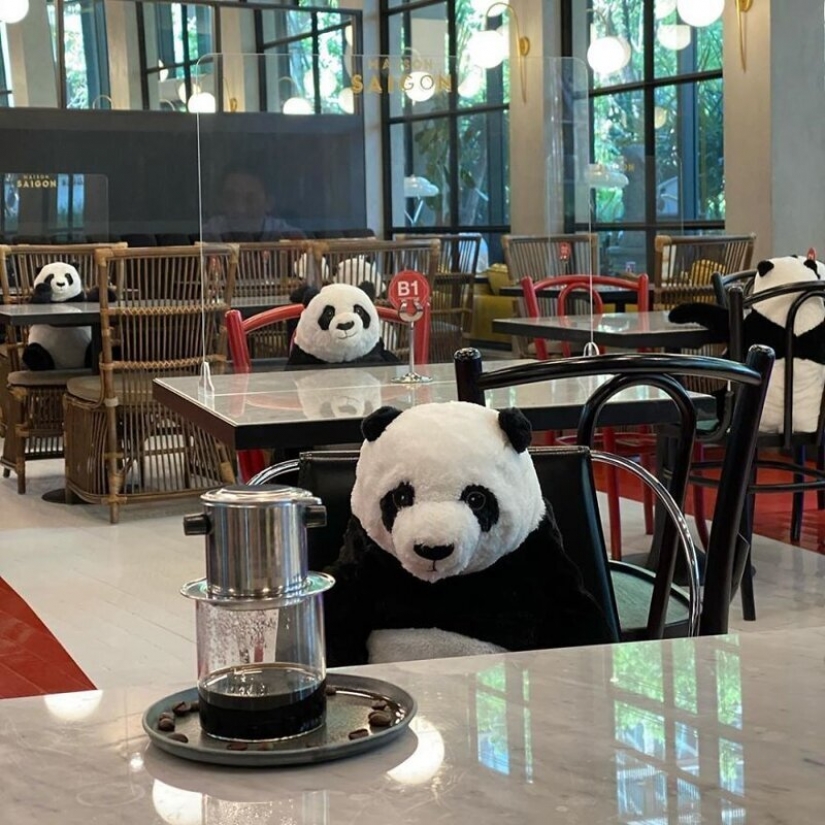 El restaurante Bangkok pandas ayudar a las personas a mantener una distancia