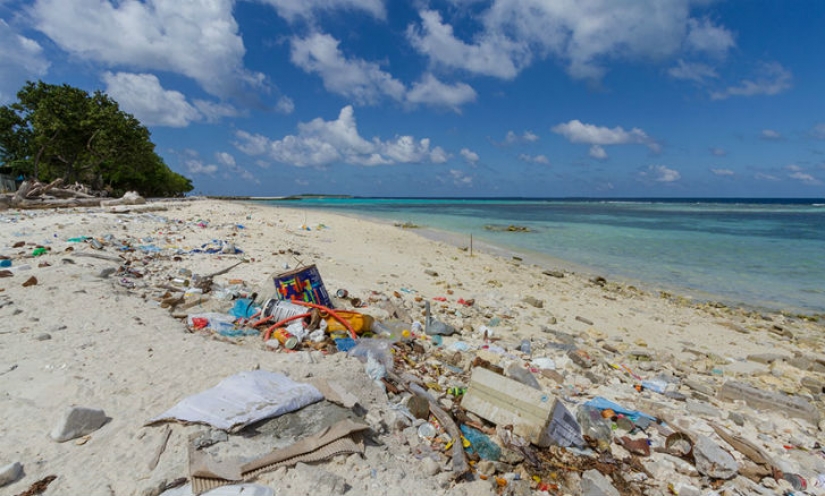 El sueño del viajero, o la Expectativa vs realidad