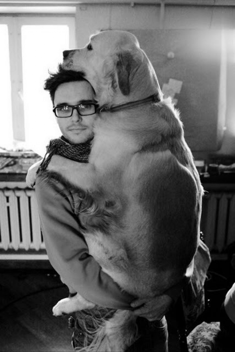 El tamaño importa: estos enormes perros están seguros de que son mano El tamaño importa: estos enormes perros están seguros de que son mano