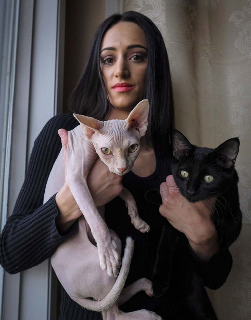 En Canadá ladrones afeitarse la costumbre de los gatitos y los venden por $ 700, posando para las esfinges En Canadá ladrones afeitarse la costumbre de los gatitos y los venden por $ 700, posando para las esfinges