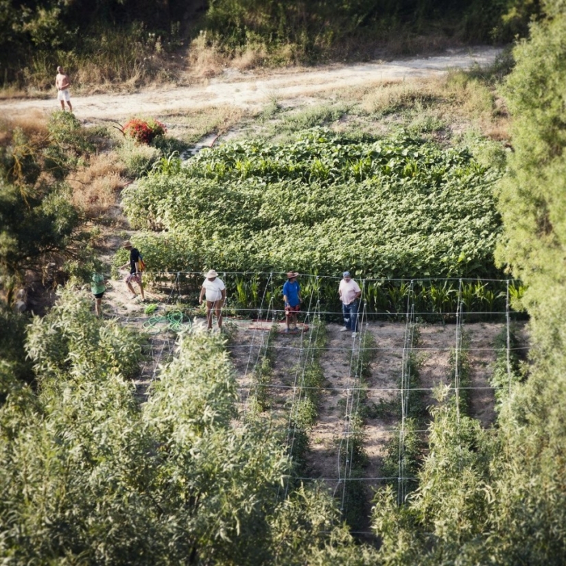 En español, los nudistas y los nuevos agery restaurar el pueblo abandonado
