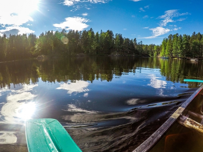 En Finlandia consiguió deshacerse de la basura en la naturaleza y los incendios forestales En Finlandia consiguió deshacerse de la basura en la naturaleza y los incendios forestales