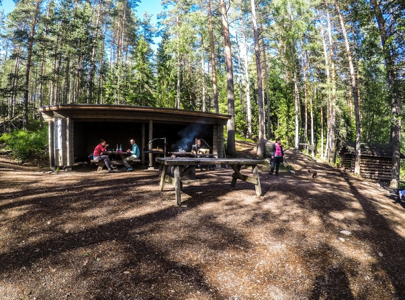 En Finlandia consiguió deshacerse de la basura en la naturaleza y los incendios forestales En Finlandia consiguió deshacerse de la basura en la naturaleza y los incendios forestales