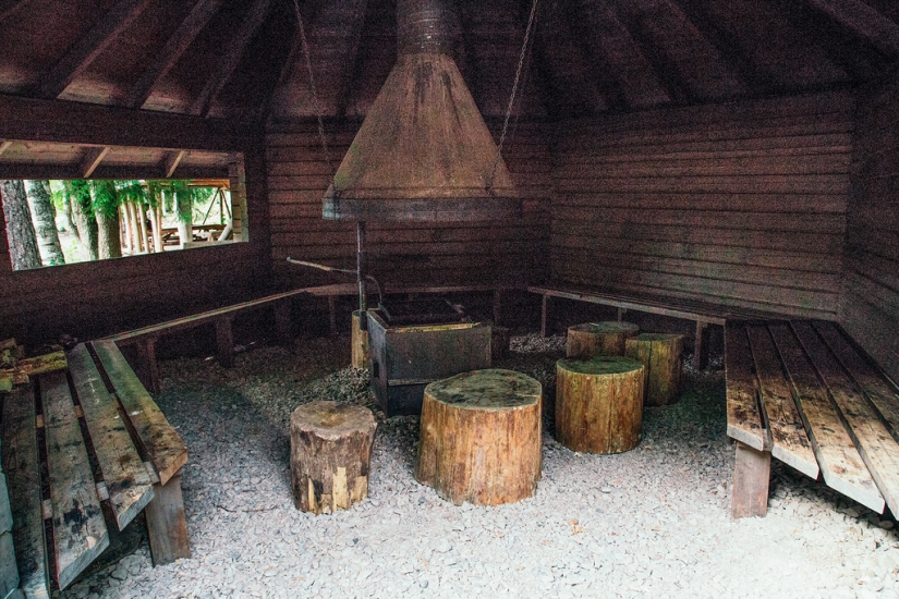 En Finlandia consiguió deshacerse de la basura en la naturaleza y los incendios forestales En Finlandia consiguió deshacerse de la basura en la naturaleza y los incendios forestales