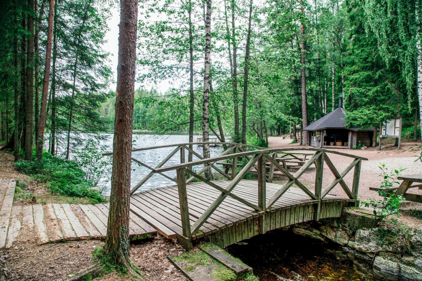 En Finlandia consiguió deshacerse de la basura en la naturaleza y los incendios forestales En Finlandia consiguió deshacerse de la basura en la naturaleza y los incendios forestales