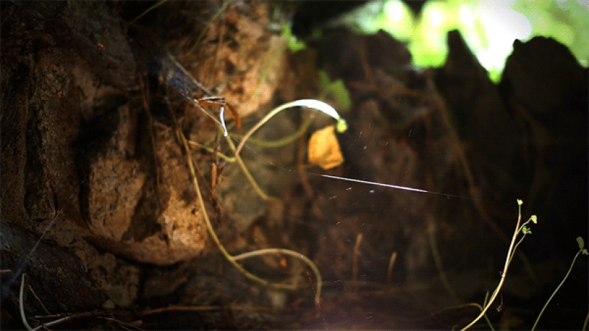 En vivo imágenes de Julien Duvie En vivo imágenes de Julien Duvie