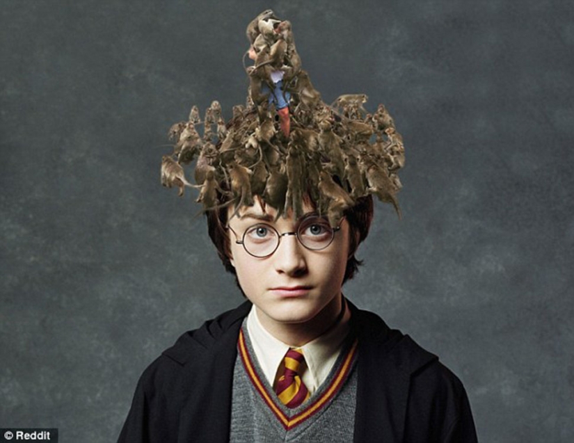 Error Fatal: el turista decidió alimentar a los monos y se convirtió en el héroe de los memes de Internet