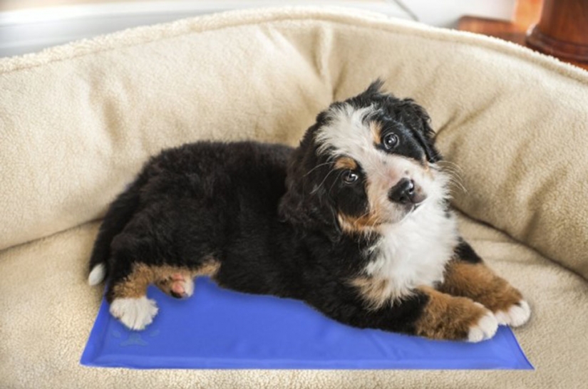 Essential things for those who are all time hot