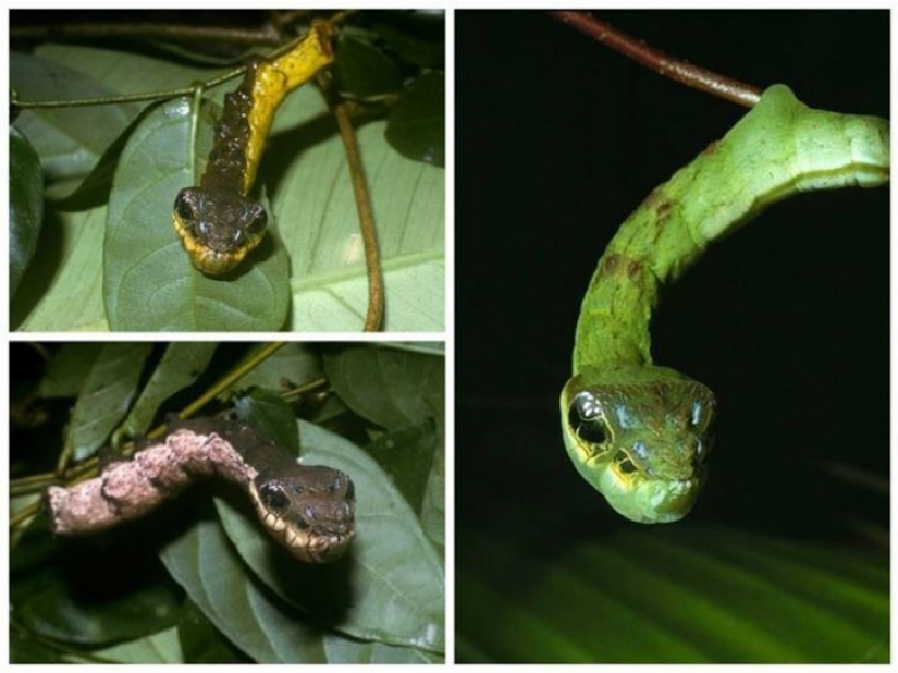 Estas 19 fotos confirmar lo increíble que es nuestro mundo Estas 19 fotos confirmar lo increíble que es nuestro mundo