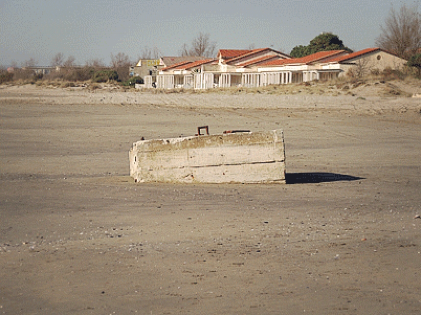 Estas 19 fotos confirmar lo increíble que es nuestro mundo Estas 19 fotos confirmar lo increíble que es nuestro mundo