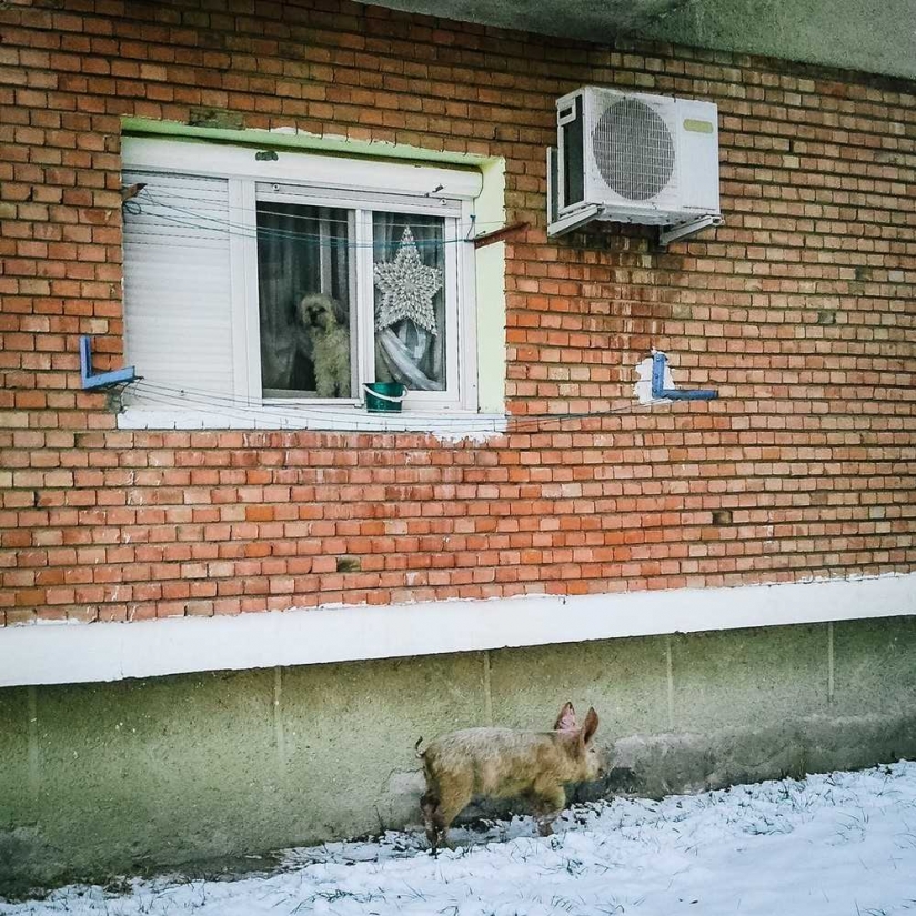 Estas fotografías muestran la belleza y el dolor de Rumania Estas fotografías muestran la belleza y el dolor de Rumania