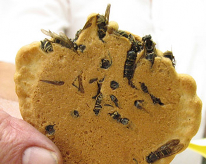 Exotic delicacies that are hard to eat, not eyes closed Exotic delicacies that are hard to eat, not eyes closed