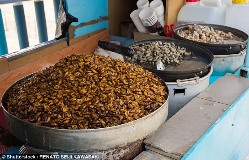 Exotic delicacies that are hard to eat, not eyes closed Exotic delicacies that are hard to eat, not eyes closed