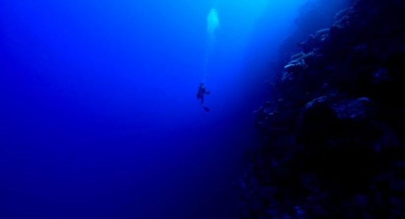 Explican los expertos: los 5 más fantástica y horribles maneras de morir Explican los expertos: los 5 más fantástica y horribles maneras de morir