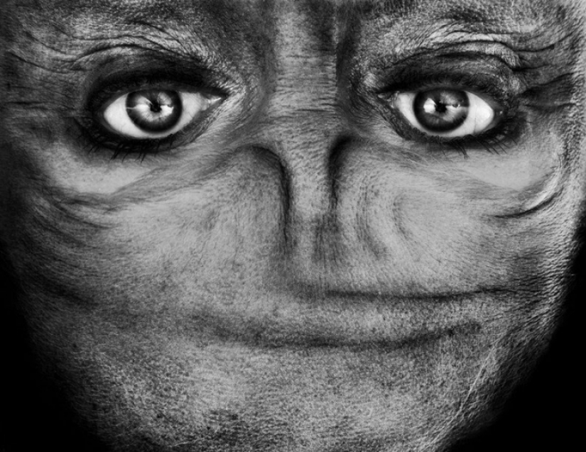 Extraterrestres entre nosotros: la cara levantada, que se asemeja a un extranjero Extraterrestres entre nosotros: la cara levantada, que se asemeja a un extranjero