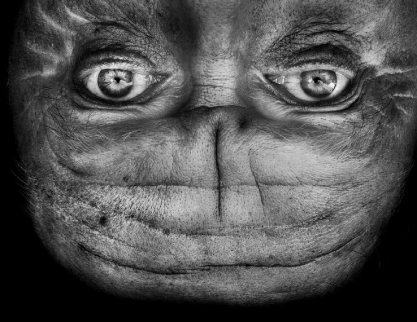 Extraterrestres entre nosotros: la cara levantada, que se asemeja a un extranjero Extraterrestres entre nosotros: la cara levantada, que se asemeja a un extranjero