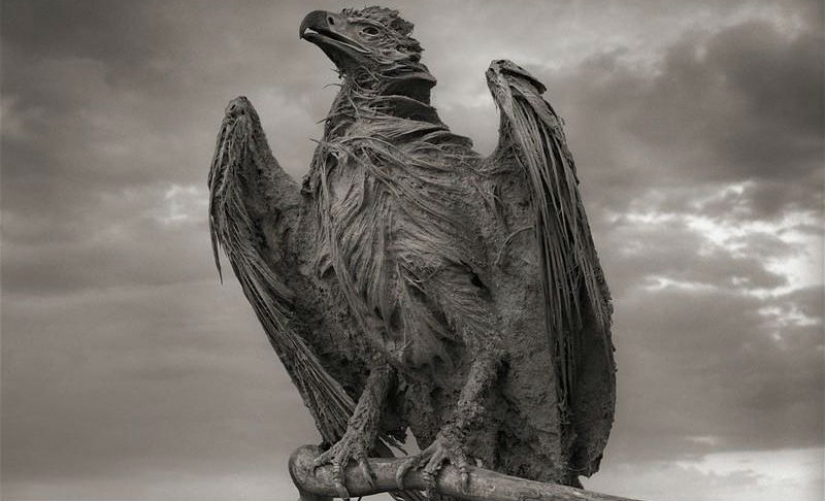 Fenómeno Natural del lago Natron.