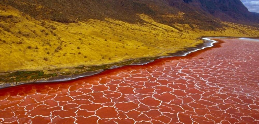 Fenómeno Natural del lago Natron.