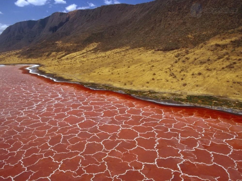 Fenómeno Natural del lago Natron.